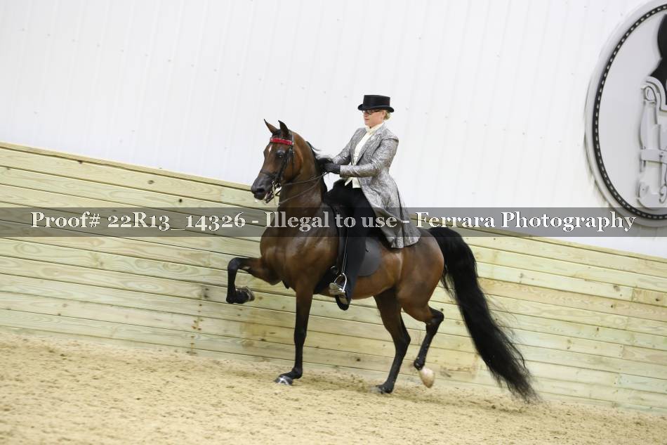 Proof 22R13_14326