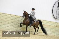22R13_14326 proof