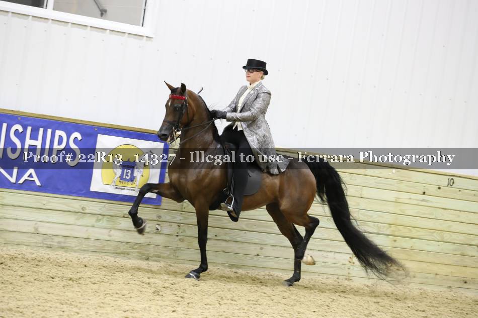 Proof 22R13_14327