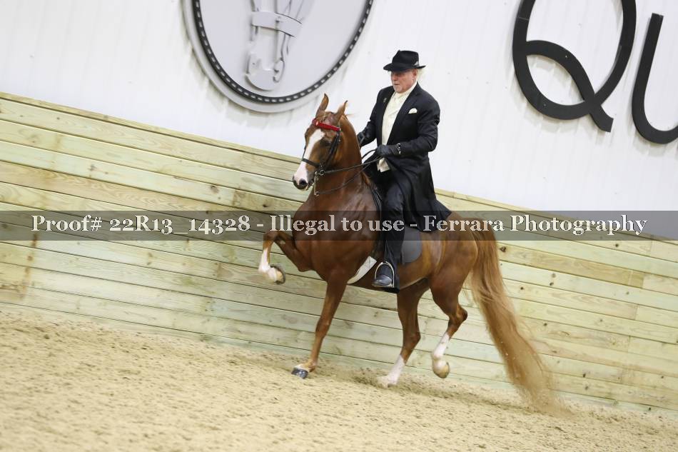 Proof 22R13_14328