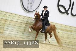 22R13_14328 proof