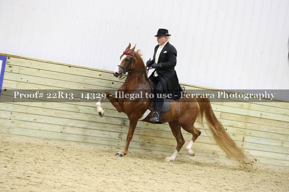 Proof 22R13_14329