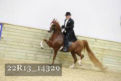 22R13_14329 proof