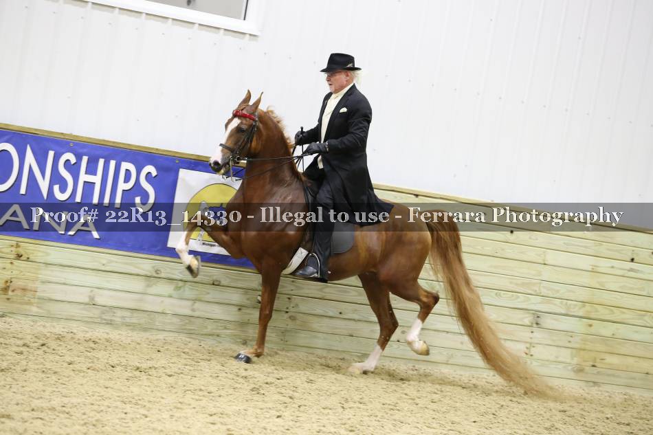 Proof 22R13_14330