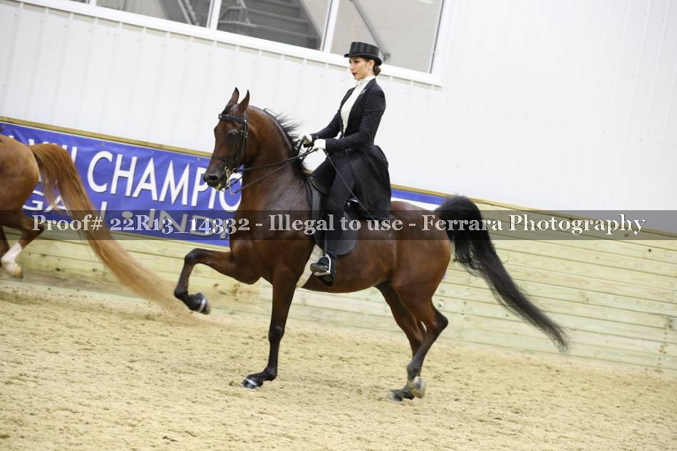 Proof 22R13_14332