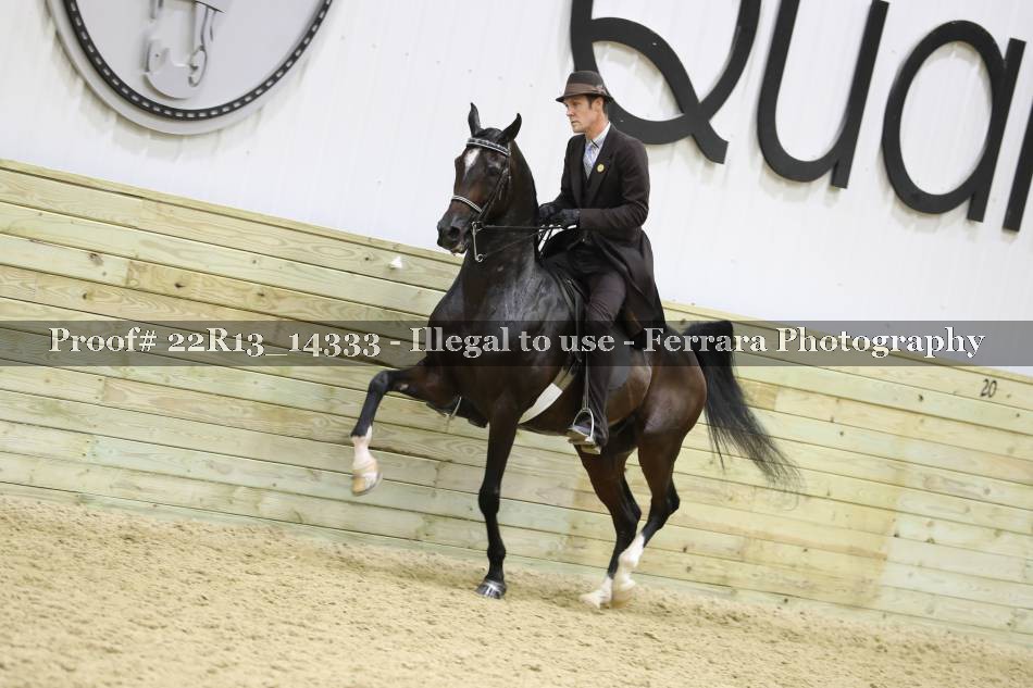 Proof 22R13_14333