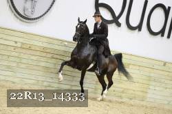 22R13_14333 proof