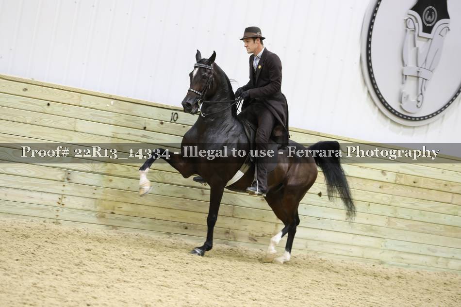 Proof 22R13_14334