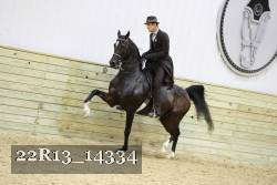 22R13_14334 proof