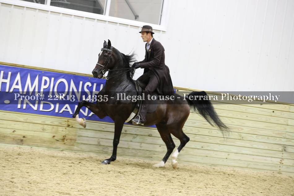 Proof 22R13_14335
