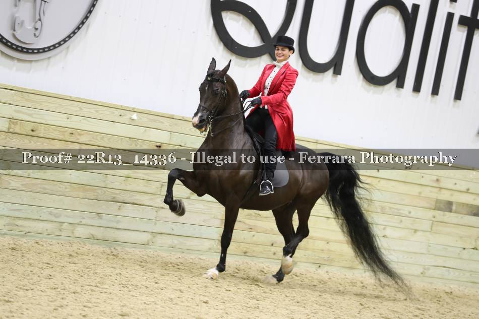 Proof 22R13_14336