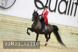 22R13_14336 proof