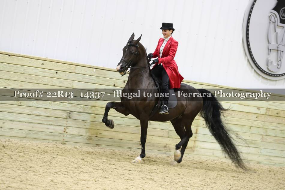 Proof 22R13_14337