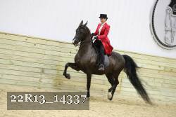 22R13_14337 proof