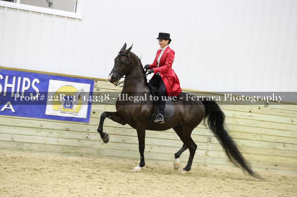 Proof 22R13_14338