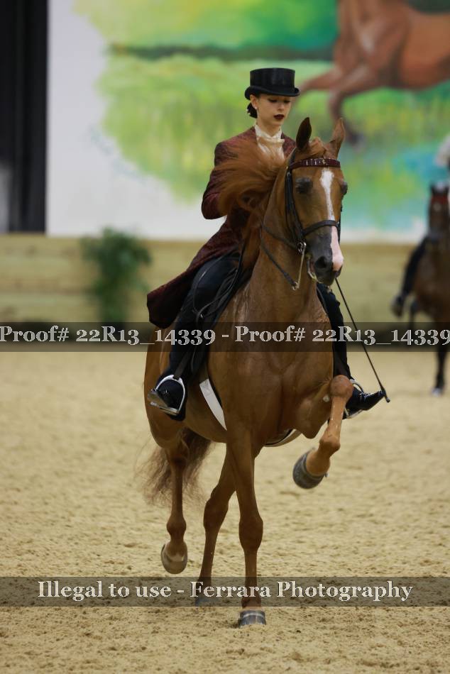 Proof 22R13_14339
