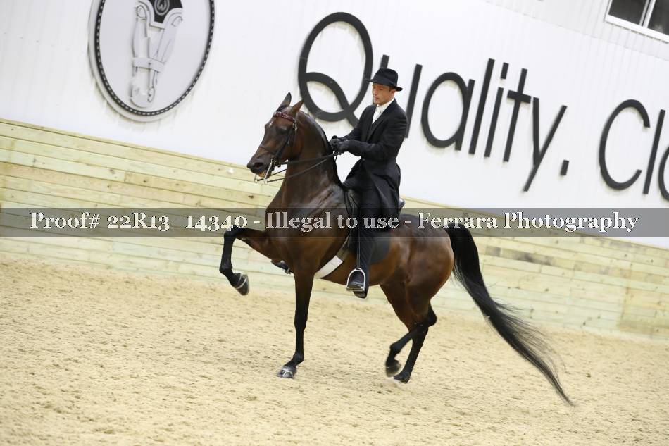Proof 22R13_14340