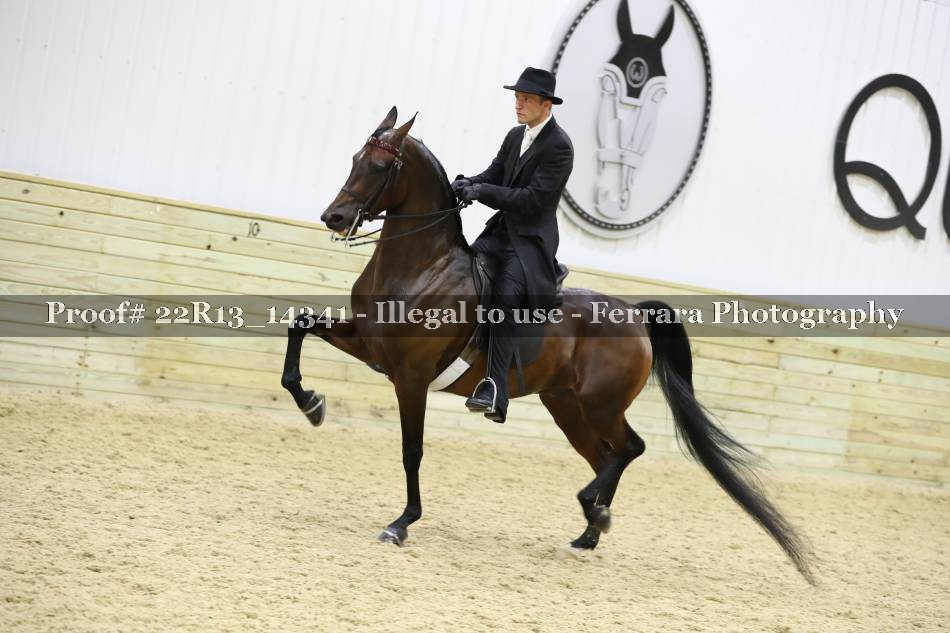 Proof 22R13_14341