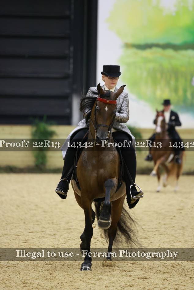 Proof 22R13_14342