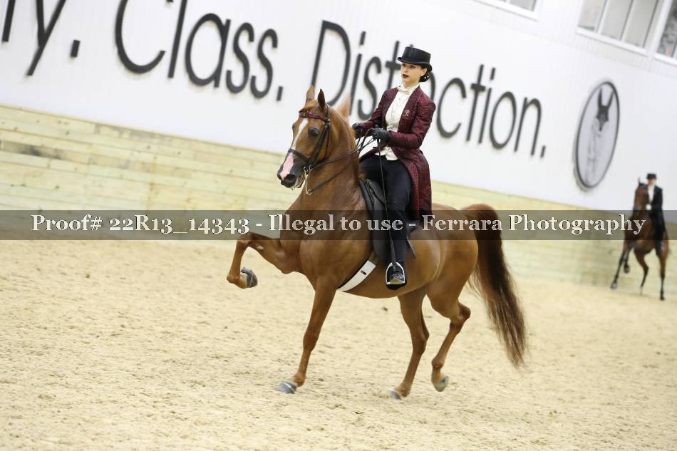 Proof 22R13_14343