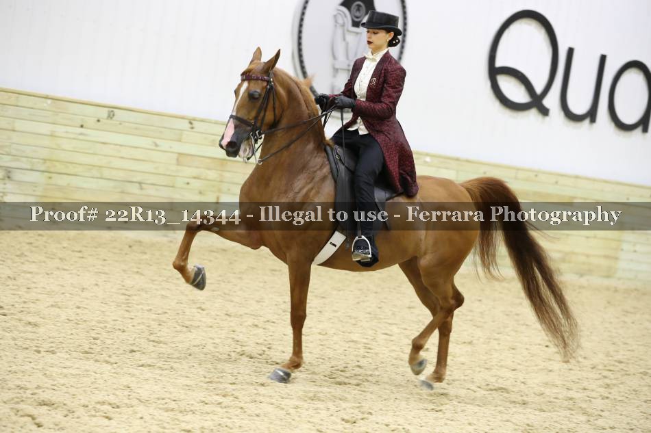 Proof 22R13_14344