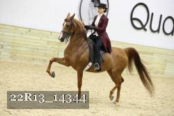 22R13_14344 proof