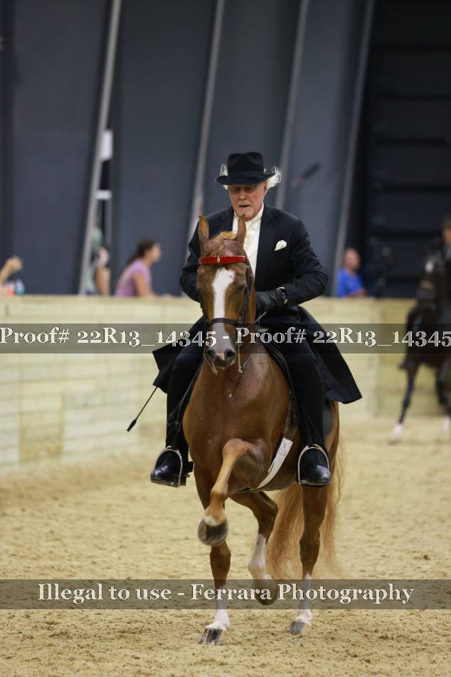 Proof 22R13_14345