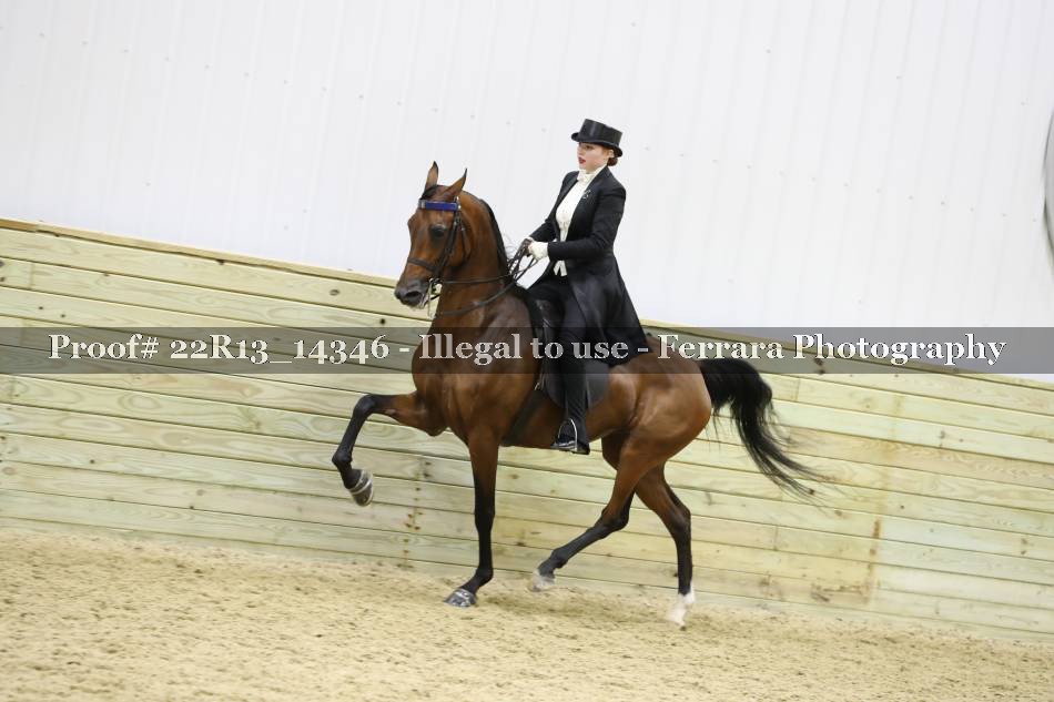 Proof 22R13_14346