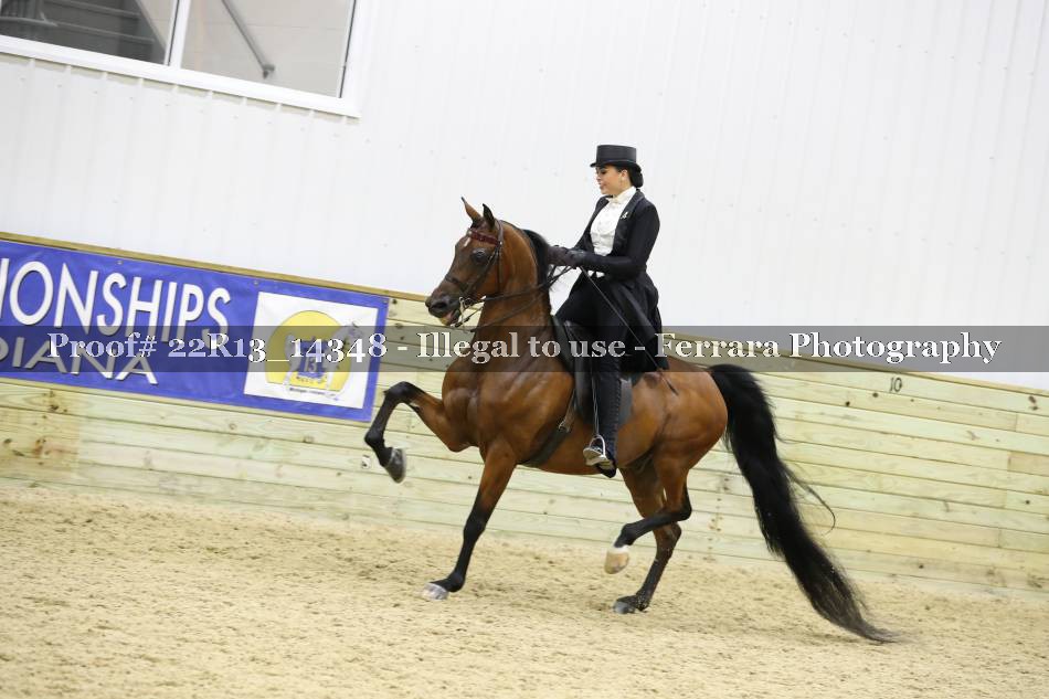Proof 22R13_14348