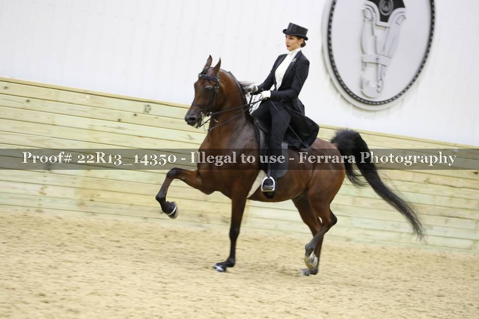 Proof 22R13_14350