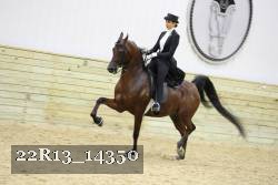 22R13_14350 proof