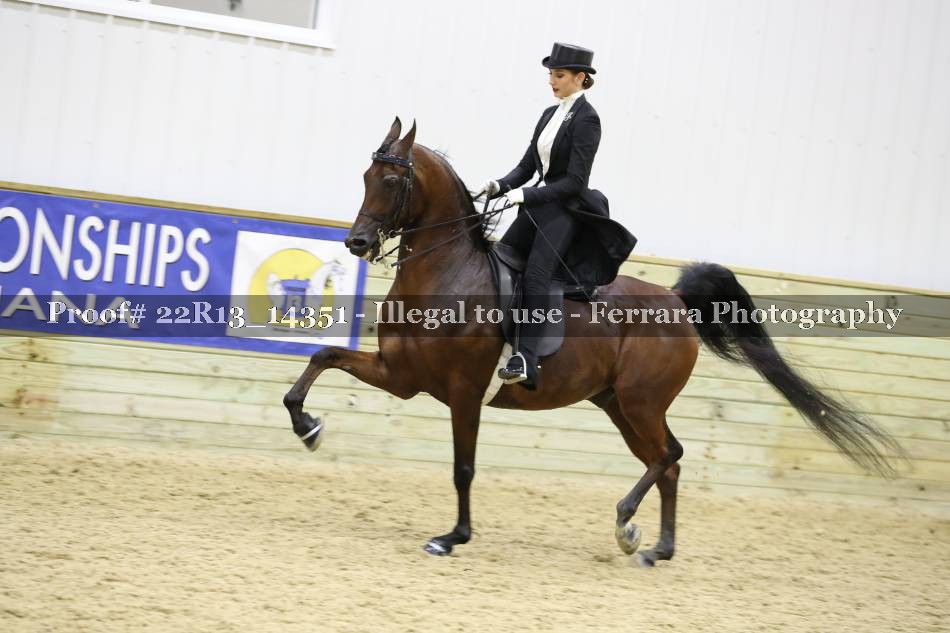 Proof 22R13_14351