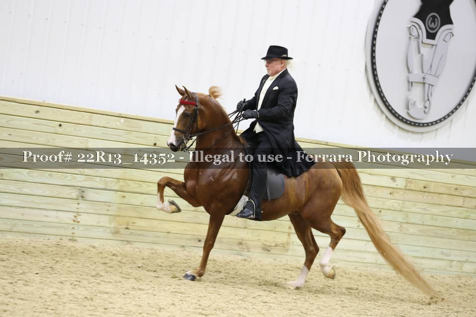 Proof 22R13_14352