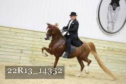 22R13_14352 proof