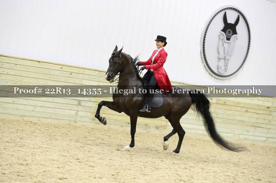 Proof 22R13_14355