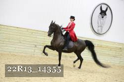 22R13_14355 proof
