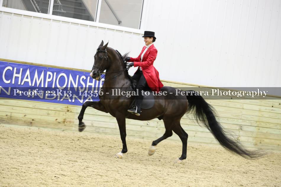 Proof 22R13_14356
