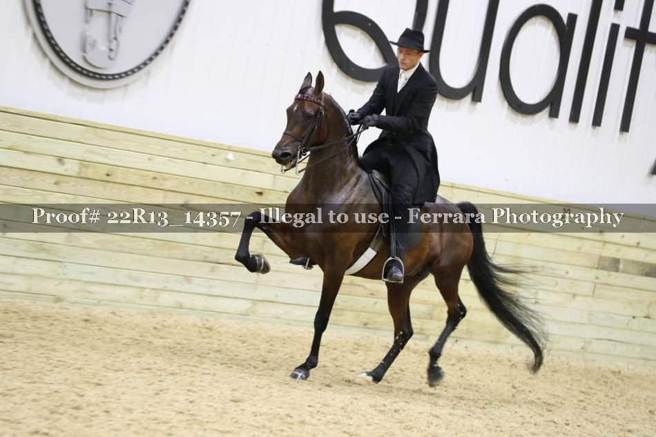 Proof 22R13_14357