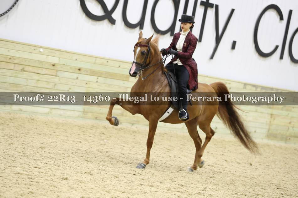 Proof 22R13_14360