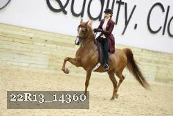 22R13_14360 proof