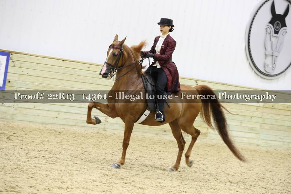 Proof 22R13_14361