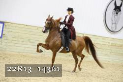 22R13_14361 proof