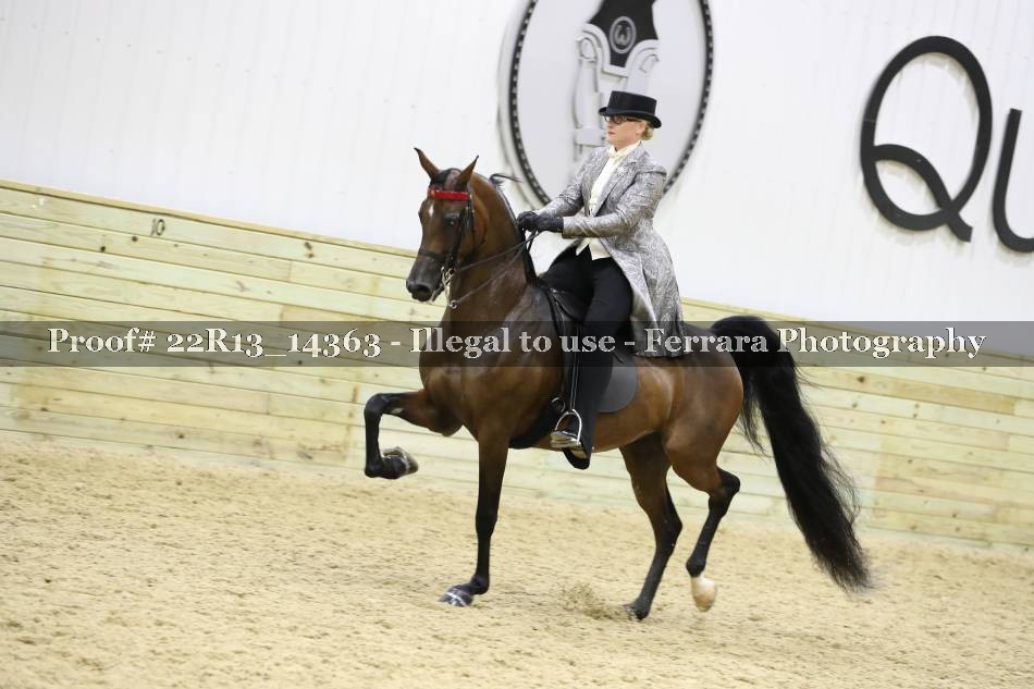 Proof 22R13_14363