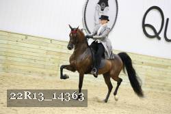 22R13_14363 proof