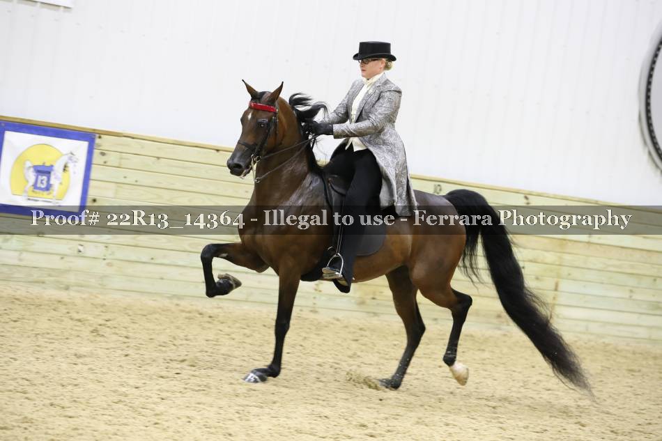 Proof 22R13_14364