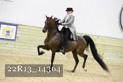 22R13_14364 proof