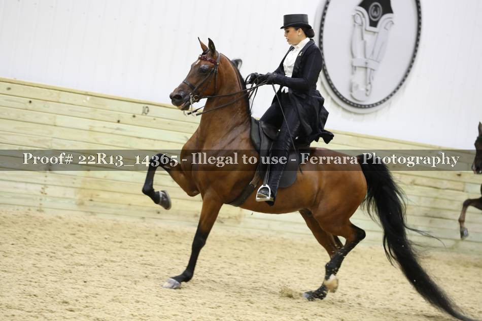 Proof 22R13_14365