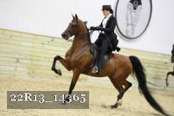 22R13_14365 proof