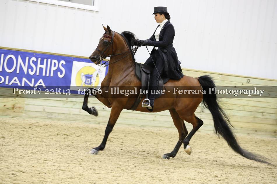 Proof 22R13_14366