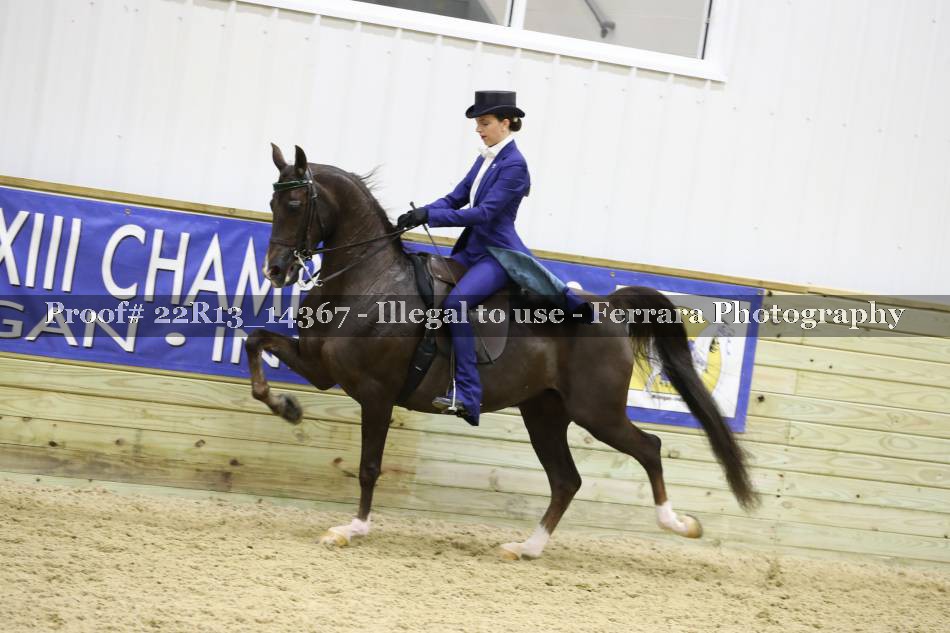 Proof 22R13_14367